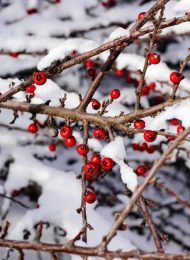 F_IMG_6823e42d3cc08