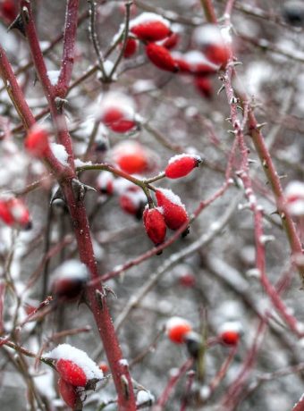 F_IMG_68438823b0813